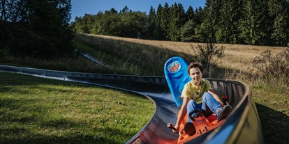 Ausflug mit Kindern - Sportanlage: Rodelbahn - Gräfendhron - Freizeitzentrum Peterberg