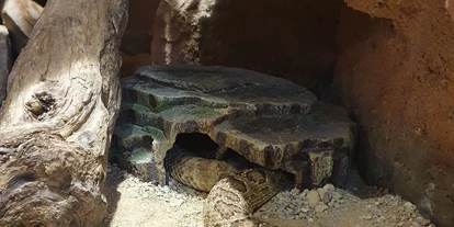 Ausflug mit Kindern - barrierefrei - Bad Vöslau - Reptilien Zoo