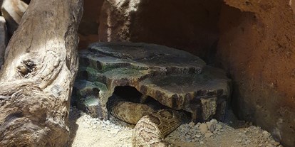 Ausflug mit Kindern - Neutal - Reptilien Zoo