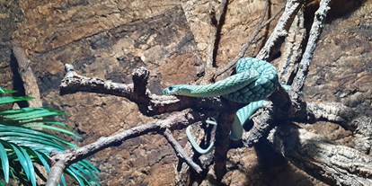 Ausflug mit Kindern - barrierefrei - Neutal - Reptilien Zoo