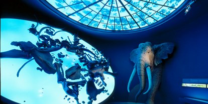 Ausflug mit Kindern - öffentliche Verkehrsmittel - Querfurt - Der Elefantenraum des Landesmuseums - Landesmuseum für Vorgeschichte