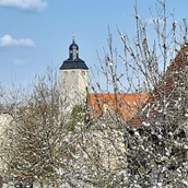 Destination - Bereits von der Schloßstraße aus sieht man den 36m hohen Bergfried der Wasserburg. - Wasserburg Egeln