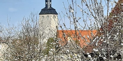Viaggio con bambini - Quedlinburg - Bereits von der Schloßstraße aus sieht man den 36m hohen Bergfried der Wasserburg. - Wasserburg Egeln