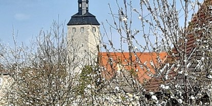 Ausflug mit Kindern - Ausflugsziel ist: eine Sehenswürdigkeit - Magdeburg-Elbe-Börde-Heide - Bereits von der Schloßstraße aus sieht man den 36m hohen Bergfried der Wasserburg. - Wasserburg Egeln