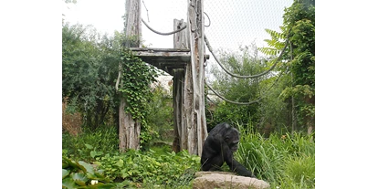 Ausflug mit Kindern - Ausflugsziel ist: ein Tierpark - Deutschland - Im Zoo Halle wandert man durch die Lebensräume der Tiere, von den Regenwälder dieser Erde... - Zoologischer Garten Halle (Bergzoo)