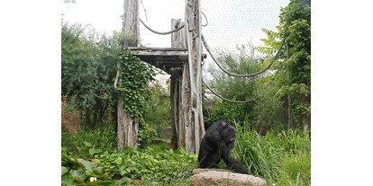 Ausflug mit Kindern - Ausflugsziel ist: ein Aussichtspunkt - Im Zoo Halle wandert man durch die Lebensräume der Tiere, von den Regenwälder dieser Erde... - Zoologischer Garten Halle (Bergzoo)