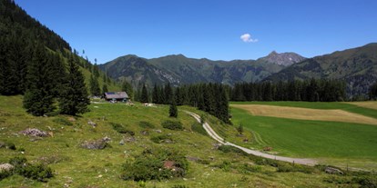 Ausflug mit Kindern - Ausflugsziel ist: ein Wandergebiet - Wörth (Rauris) - Hirschgrubenalm, 1.564 m - Hirschgrubenalm, 1.564m
