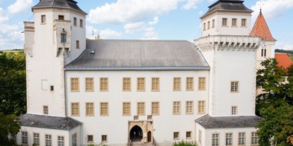 Ausflug mit Kindern - Schatten: halb schattig - Falkenstein (Falkenstein) - MAMUZ Schloss Asparn/Zaya