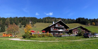 Ausflug mit Kindern - Ausflugsziel ist: ein Weg - Vorderkleinarl - Breitenebenalm in Großarl - Breitenebenalm, 1.420m