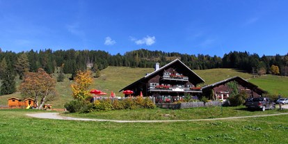 Ausflug mit Kindern - Ausflugsziel ist: ein Wandergebiet - Hopfberg - Breitenebenalm in Großarl - Breitenebenalm, 1.420m