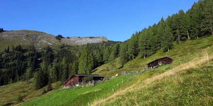 Ausflug mit Kindern - Mühlbach am Hochkönig - Karseggalm, 1.603 m - Karseggalm, 1.603m