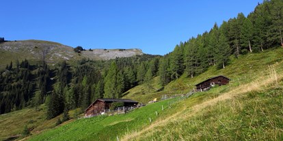 Ausflug mit Kindern - Bad Gastein - Karseggalm, 1.603m