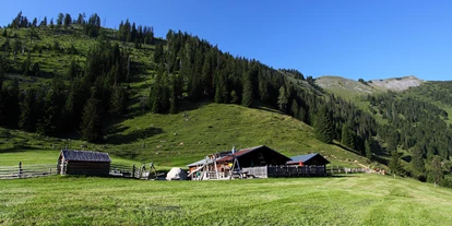 Trip with children - Ausflugsziel ist: eine Wanderung - Vorderkleinarl - Unterwandalm, 1.600 m - Unterwandalm, 1.600 m