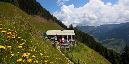 Trip with children - Ausflugsziel ist: ein Restaurant/Gasthaus - Vorderkleinarl - Viehhausalm, 1.640 m - Viehhausalm, 1.640 m