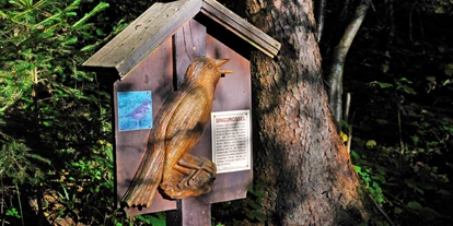 Ausflug mit Kindern - Gerlos - Singdrossel Tafel Vogellehrpfad Hart im Zillertal - Vogellehrpfad Hart im Zillertal