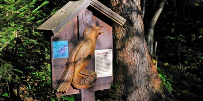 Ausflug mit Kindern - Witterung: Bewölkt - Brandenberg - Singdrossel Tafel Vogellehrpfad Hart im Zillertal - Vogellehrpfad Hart im Zillertal