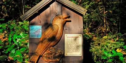 Ausflug mit Kindern - Ausflugsziel ist: eine Wanderung - Fügen - Beschreibungstafel Vogellehrpfad Hart im Zillertal - Vogellehrpfad Hart im Zillertal