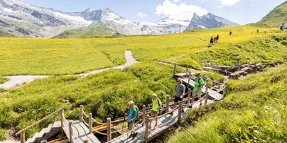 Ausflug mit Kindern - Ausflugsziel ist: ein Weg - Schönberg im Stubaital - © Archiv TVB Tux-Finkenberg
Gletscherflohsafari wandern - Gletscherflohsafari
