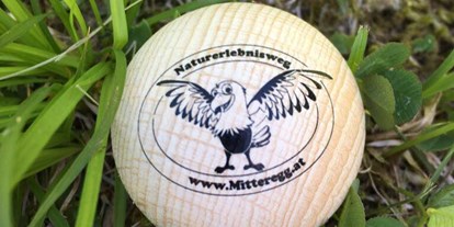Ausflug mit Kindern - Themenschwerpunkt: Spielen - PLZ 87645 (Deutschland) - Holzkugel - Naturerlebnisweg Mitteregg
