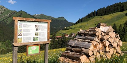 Ausflug mit Kindern - Themenschwerpunkt: Bewegung - Zugspitze - Infotafel - Naturerlebnisweg Mitteregg