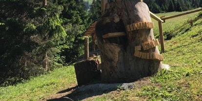 Trip with children - Alter der Kinder: über 10 Jahre - Tyrol - Lärchenturm - Naturerlebnisweg Mitteregg