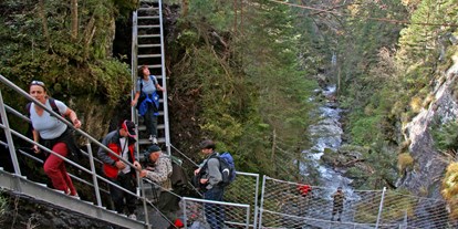 Ausflug mit Kindern - Neuseß - der Steig setzt sich aus Stahltreppen und Aussichtsplattformen zusammen - Alpinsteig durch die Höll - Wilde Wasser