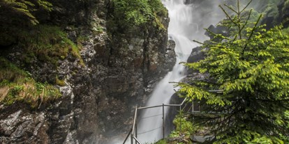 Ausflug mit Kindern - Neuseß - Riesachfall - Alpinsteig durch die Höll - Wilde Wasser