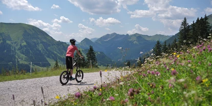 Trip with children - Alter der Kinder: über 10 Jahre - Tyrol - Bergroller - Fahrt
