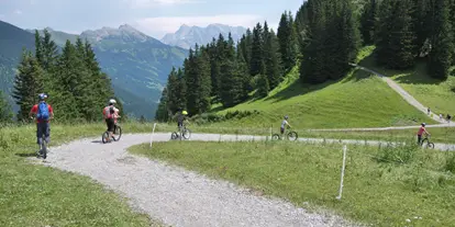 Ausflug mit Kindern - Ausflugsziel ist: ein Naturerlebnis - Tirol - Bergroller - Fahrt