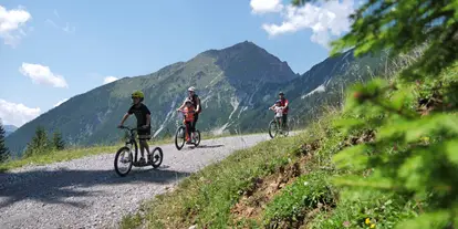 Ausflug mit Kindern - Ausflugsziel ist: ein Naturerlebnis - Tirol - Bergroller - Fahrt