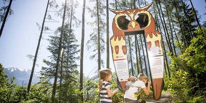 Ausflug mit Kindern - Umgebungsschwerpunkt: Wald - Ötztal-Bahnhof - ZAUBERWALD Sautens