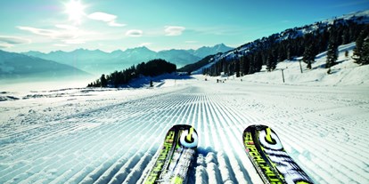 Ausflug mit Kindern - Umgebungsschwerpunkt: Berg - Jenbach - Ski Optimal Hochzillertal