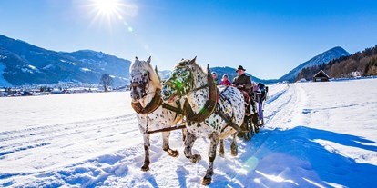 Ausflug mit Kindern - Witterung: Schnee - Ritzmannsdorf - Pferdeschlittenfahrt in Weißenbach - Pferdeschlitten- und -kutschenfahrten in Haus und Aich