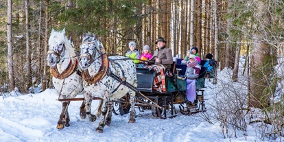 Ausflug mit Kindern - Alter der Kinder: 6 bis 10 Jahre - Ritzmannsdorf - Pferdeschlittenfahrt in Weißenbach - Pferdeschlitten- und -kutschenfahrten in Haus und Aich