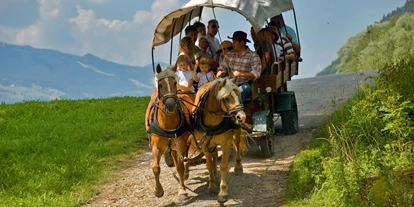 Ausflug mit Kindern - Schladming schladming - Pferdekutschenfahrt in Aich - Pferdeschlitten- und -kutschenfahrten in Haus und Aich