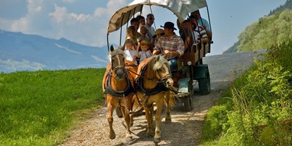 Ausflug mit Kindern - Ausflugsziel ist: ein Naturerlebnis - PLZ 8961 (Österreich) - Pferdekutschenfahrt in Aich - Pferdeschlitten- und -kutschenfahrten in Haus und Aich