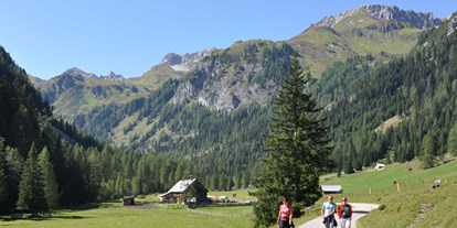 Ausflug mit Kindern - Themenschwerpunkt: Klettern - PLZ 5550 (Österreich) - Wandern von Hütte zu Hütte im Naturpark Riedingtal - Naturpark Riedingtal