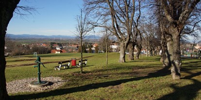 Ausflug mit Kindern - Witterung: Schönwetter - Bad Vöslau - Hornstein Kinderspielplatz
