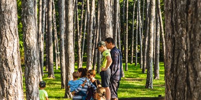 Ausflug mit Kindern - Ausflugsziel ist: ein Naturerlebnis - Hornstein Walderlebnisweg