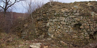 Ausflug mit Kindern - sehenswerter Ort: Ruine - Wasenbruck - Teil einer Mauer der Burgruine - Burgruine