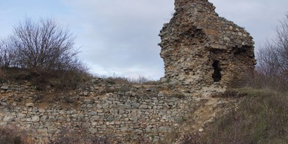 Ausflug mit Kindern - sehenswerter Ort: Ruine - Wasenbruck - Ansicht der Burgruine - Burgruine