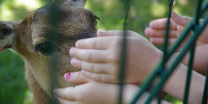 Ausflug mit Kindern - TOP Ausflugsziel 2024 - Axishirschkuh streicheln, aber nicht füttern 😉 - Tierpark Petermoor