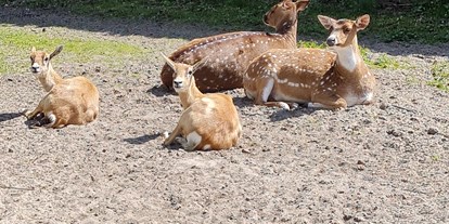 Ausflug mit Kindern - Ausflugsziel ist: ein Zoo - Tierpark Petermoor