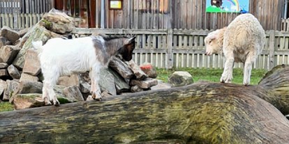 Ausflug mit Kindern - Umgebungsschwerpunkt: Stadt - Dötlingen - Tierpark Petermoor