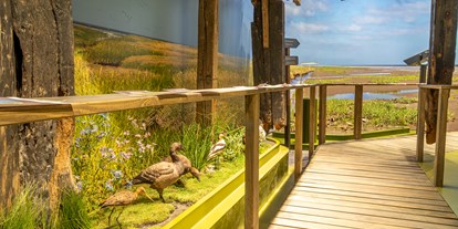 Ausflug mit Kindern - Ausflugsziel ist: ein Naturerlebnis - Nordsee - UNESCO-Weltnaturerbe Wattenmeer Besucherzentrum Wilhelmshaven