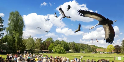 Voyage avec des enfants - Ausflugsziel ist: ein Freizeitpark - Allemagne - Weltvogelpark Walsrode