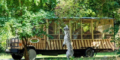 Ausflug mit Kindern - Ausflugsziel ist: ein Streichelzoo - Deutschland - Serengeti-Park Hodenhagen