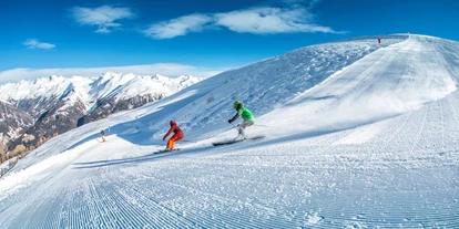 Trip with children - Ausflugsziel ist: ein Kletterpark - Tyrol - Skizentrum St. Jakob i. Defereggental