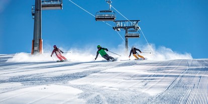 Ausflug mit Kindern - Ausflugsziel ist: ein Kletterpark - Skizentrum St. Jakob i. Defereggental