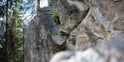 Ausflug mit Kindern - Nauders - Familien-Klettergarten Rappenwand